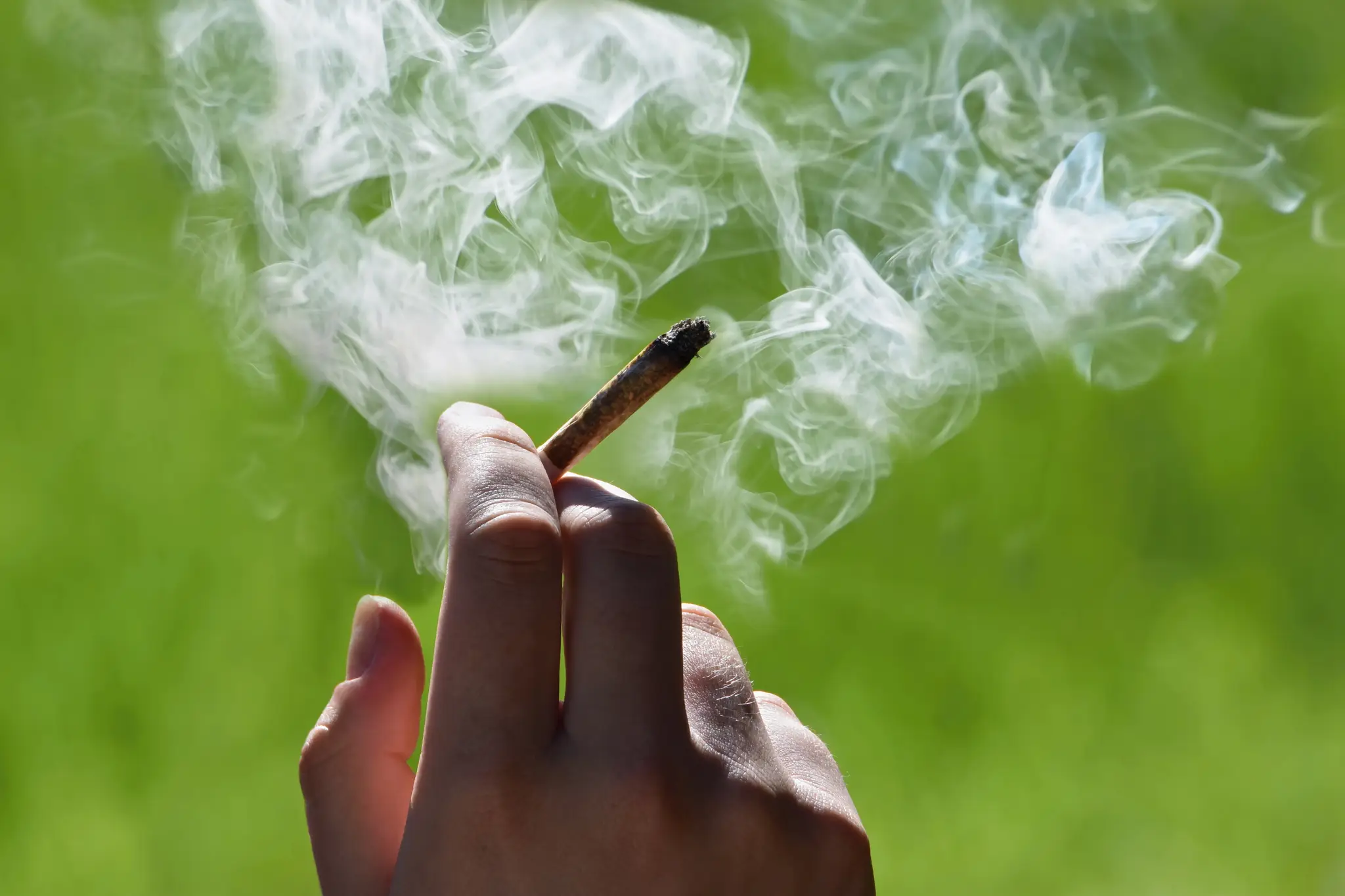 Marihuana - ilustračná snímka