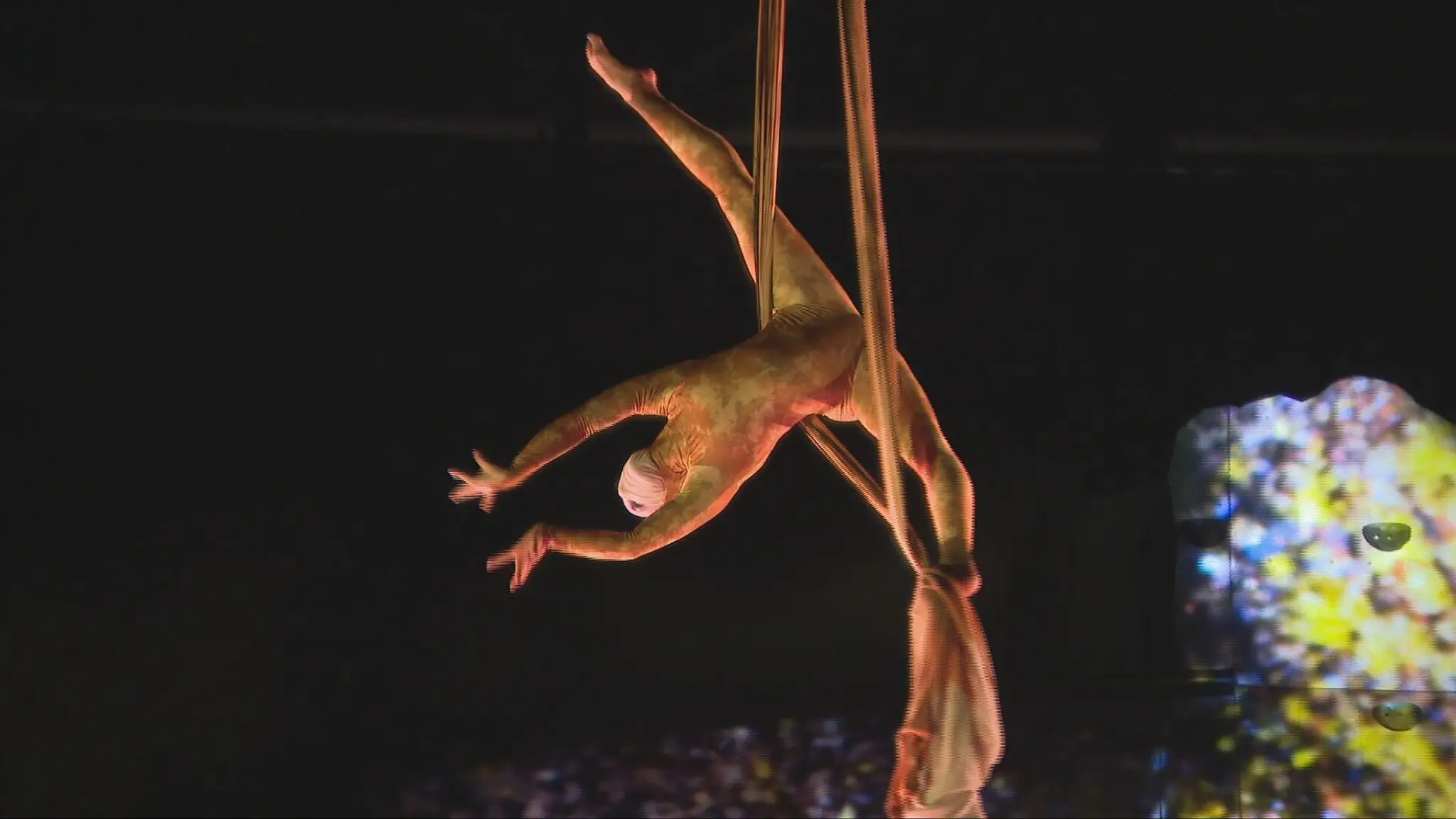 Cirque Du Soleil
