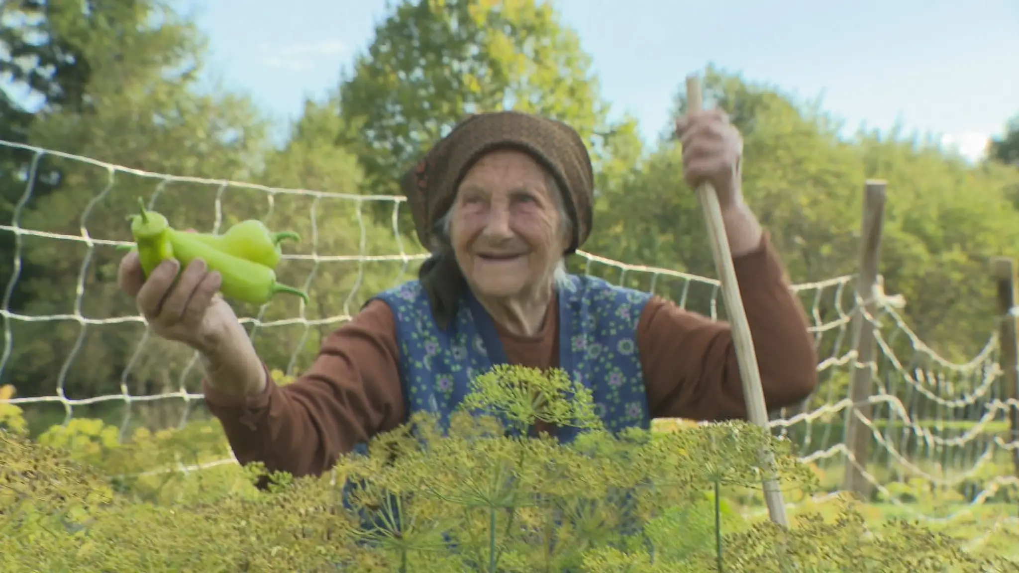 Pani Mária