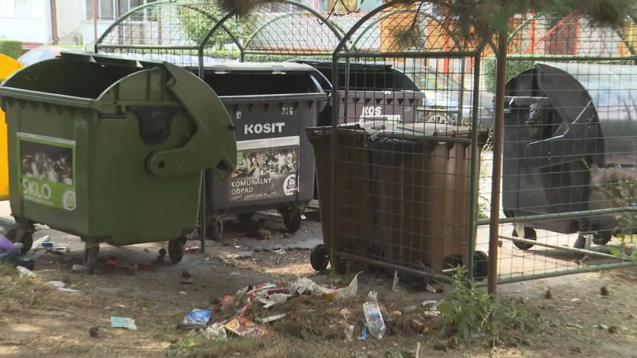 V Košiciach majú problém s premnoženými potkanmi.