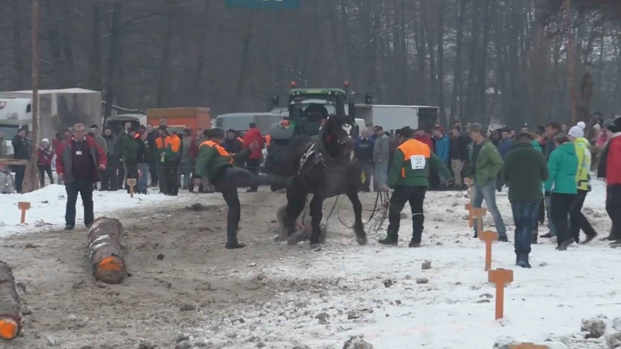 Furmani kopali koňa