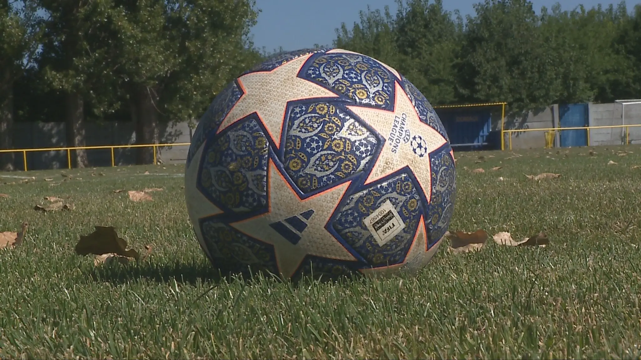 Futbalová lopta
