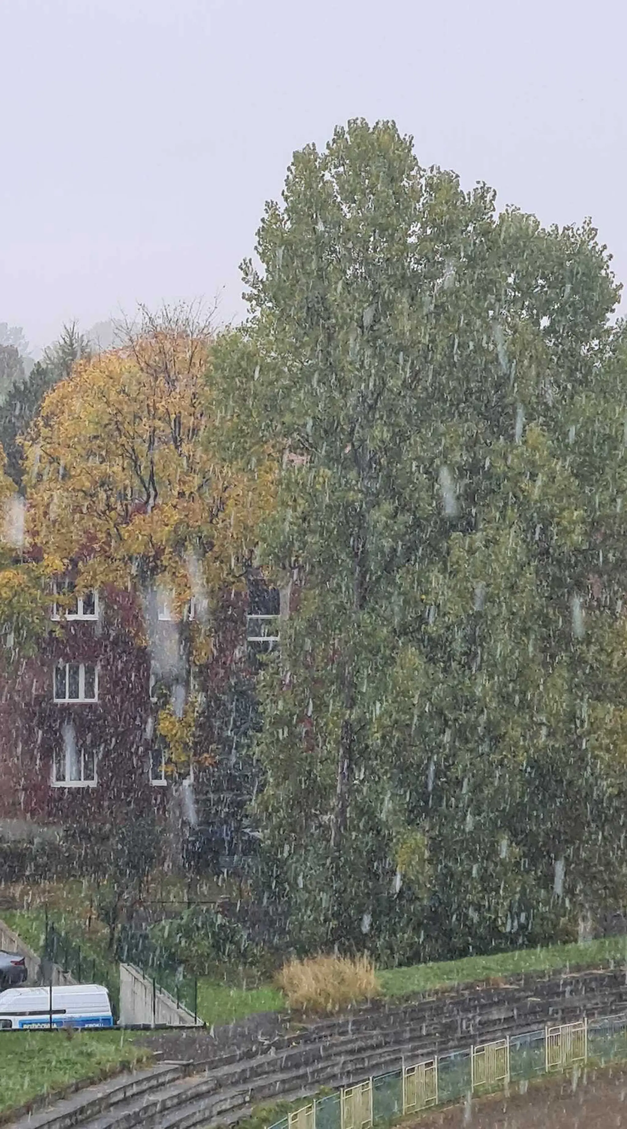 Foto od vás - Svit, sneh s dažďom