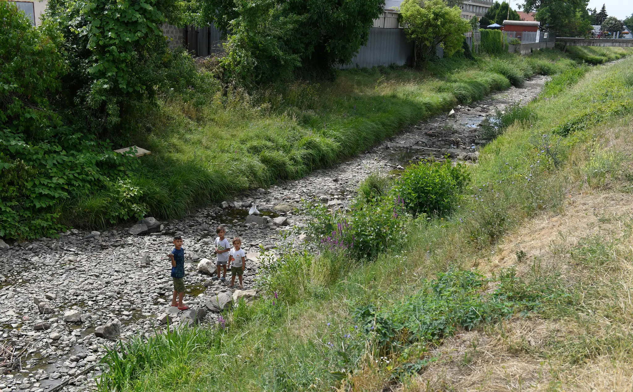 bodva04_18_7_2022886428