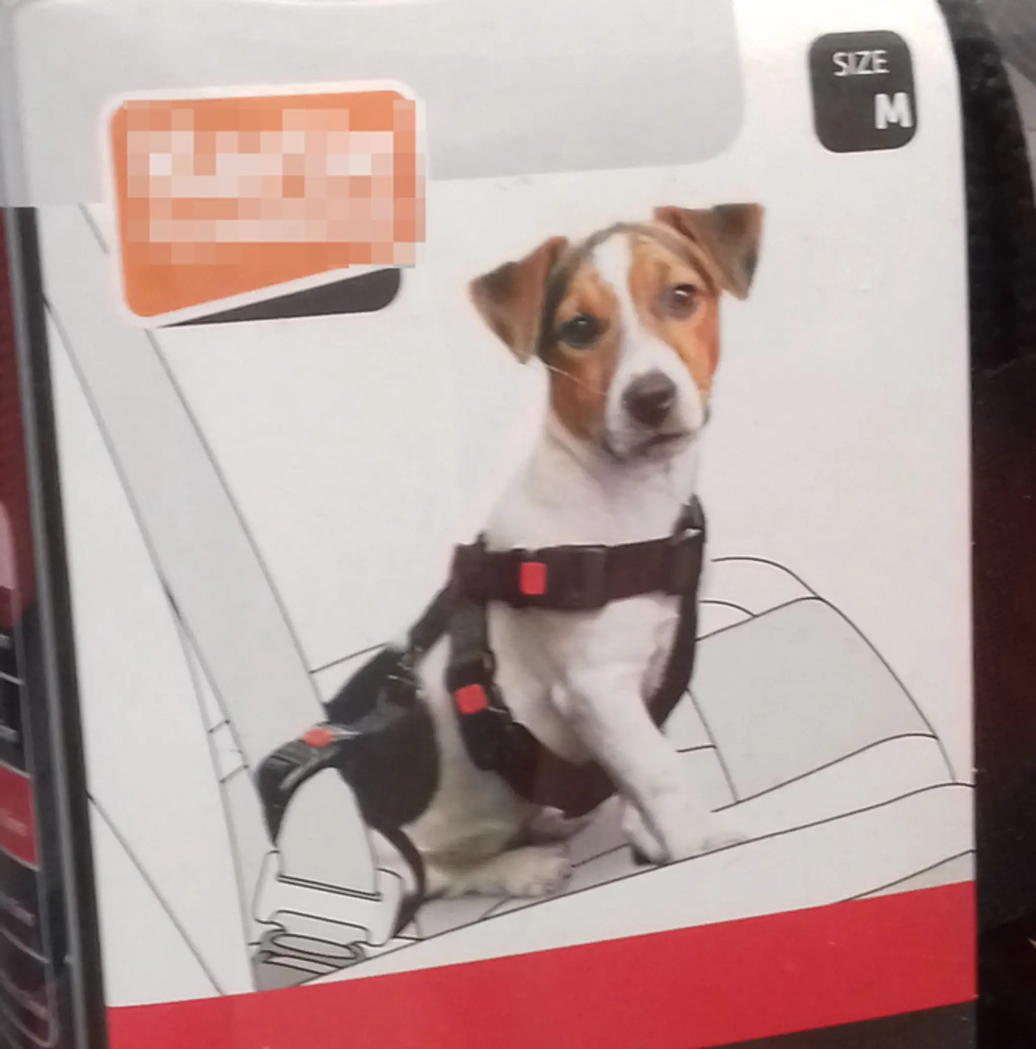 Pripútanie psa v aute, ktorý má na sebe bezpečnostné pásy.
