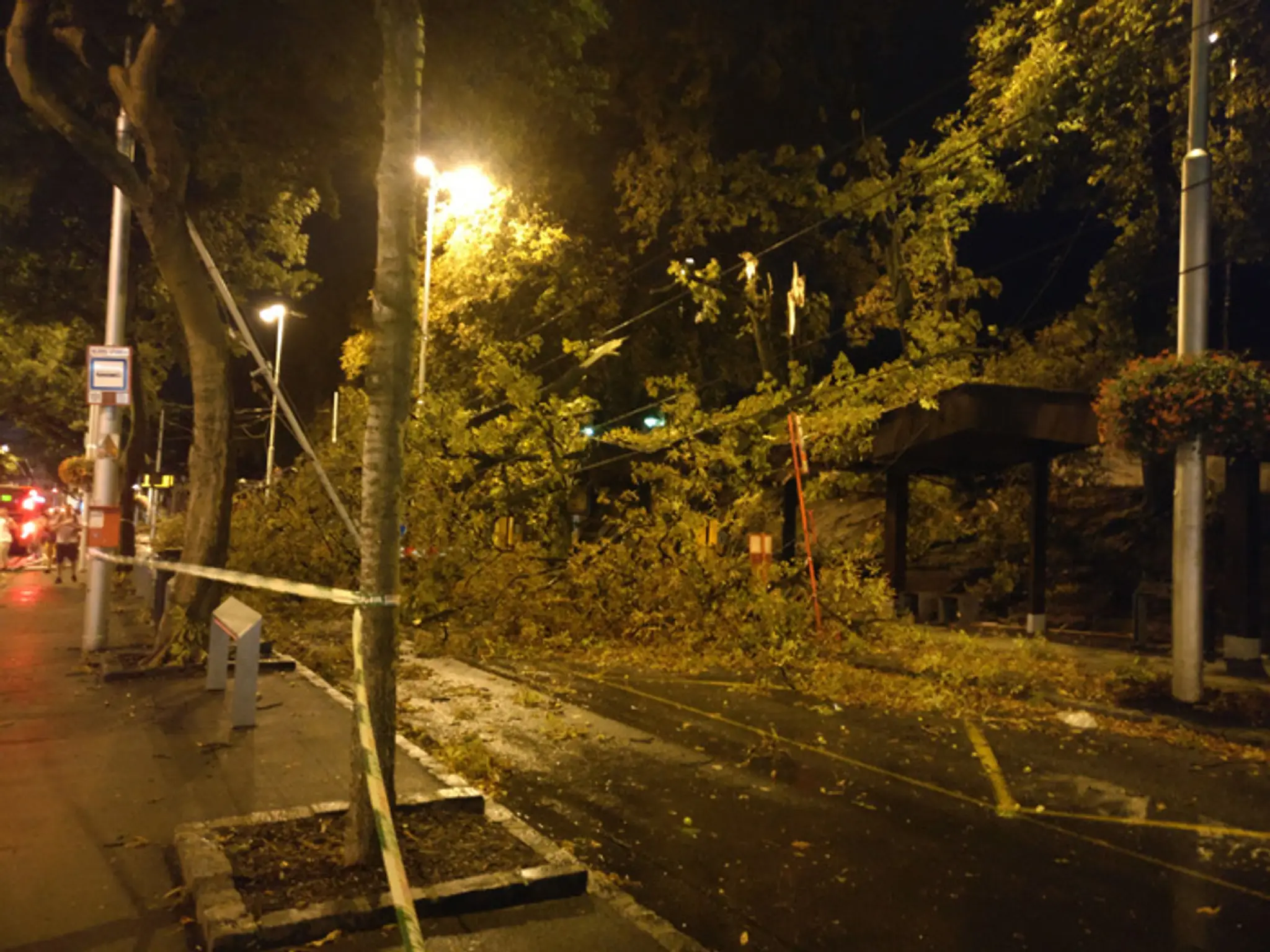 Popadané stromy pred bratislavskou Hlavnou stanicou.