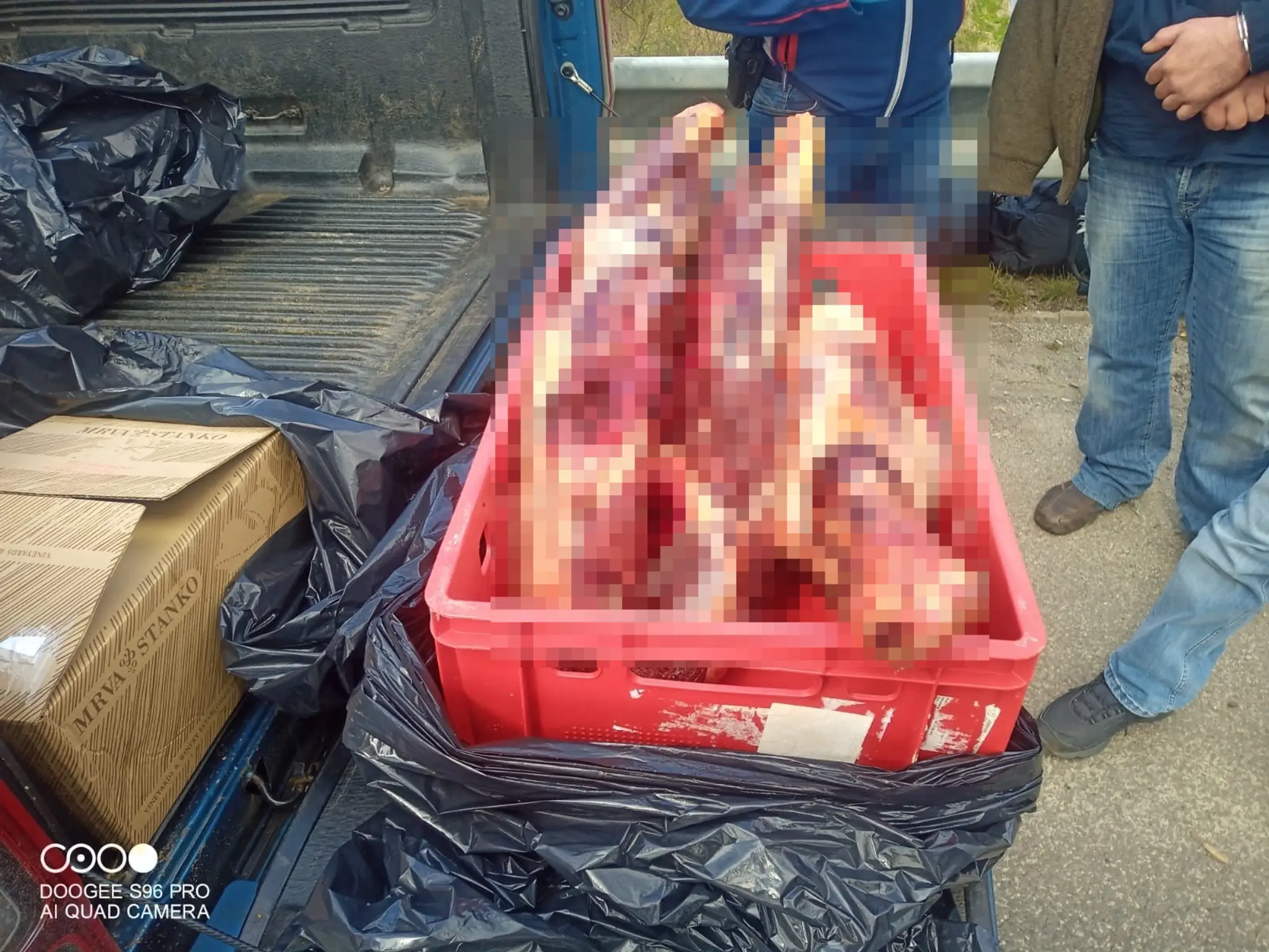 Enviropolícia zadržala troch mužov, ktorí prevážali nelegálne uloveného medveďa.