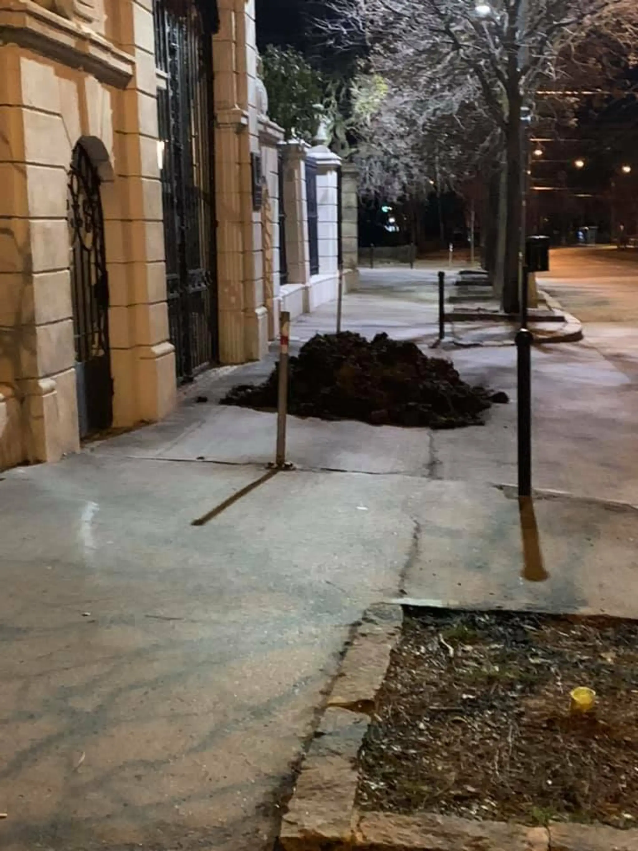 Vysypaný hnoj pred úradom vlády.