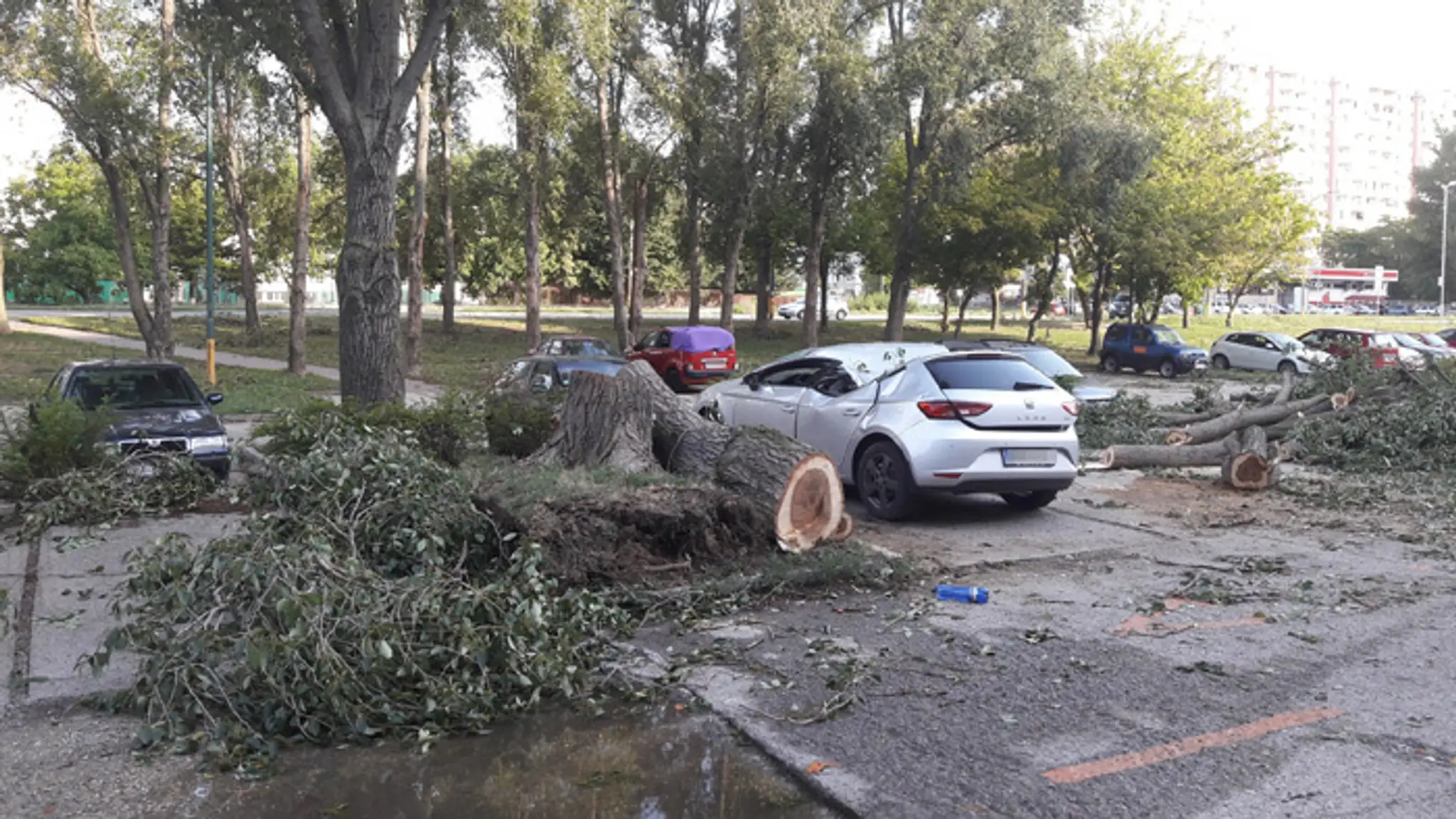 Strom na Jiráskovej ul. v Petržalke poškodil niekoľko aut. Toto dopadlo najhoršie.