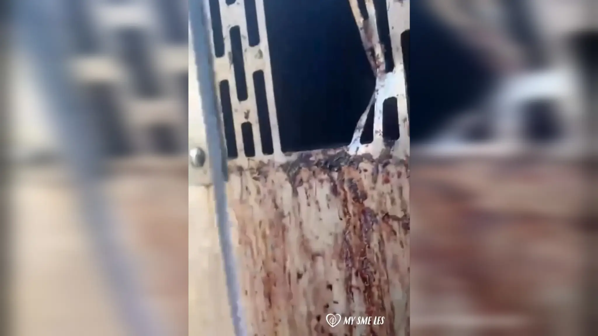 Video odchytového zariadenia