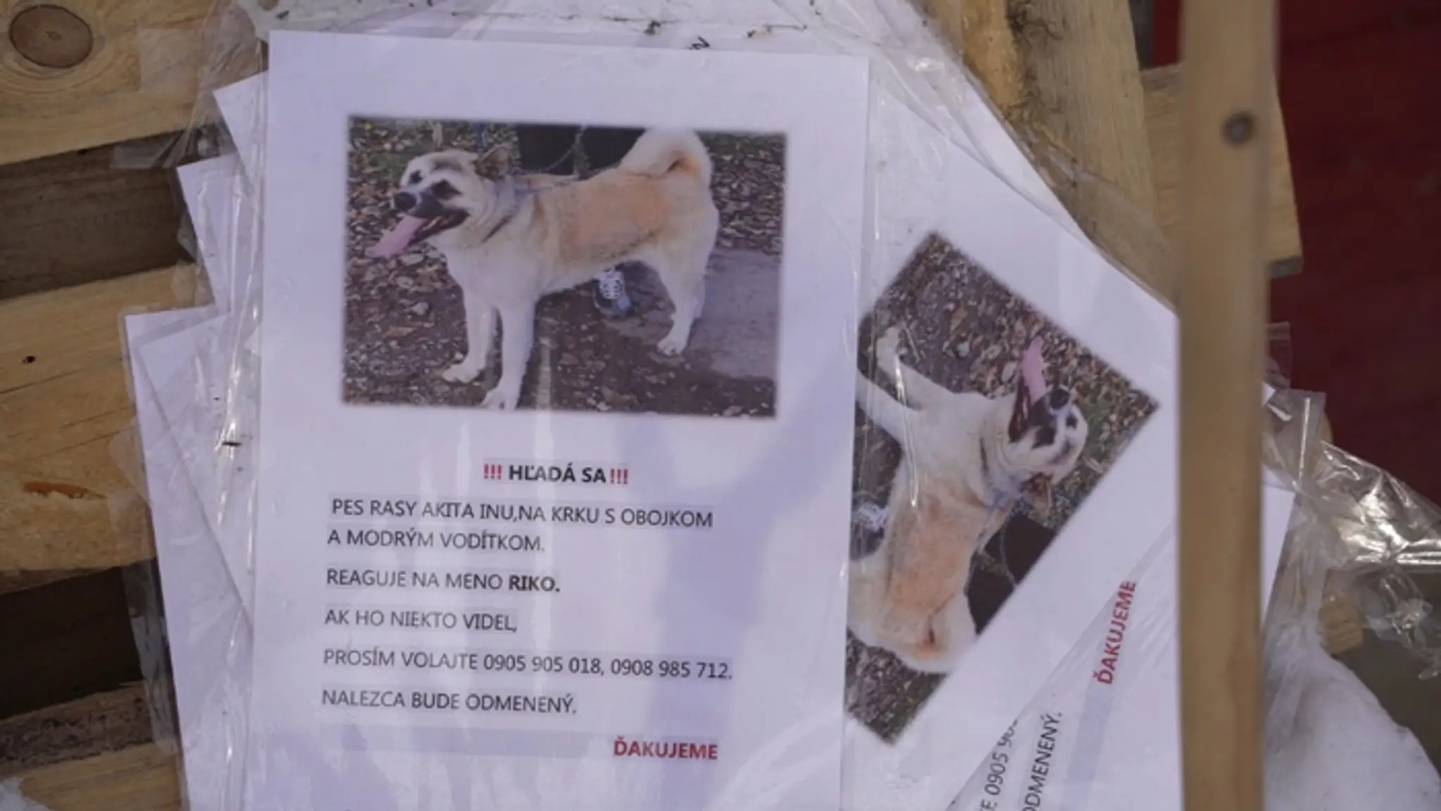 Malý chlapec, ktorého drží za ruku otec.