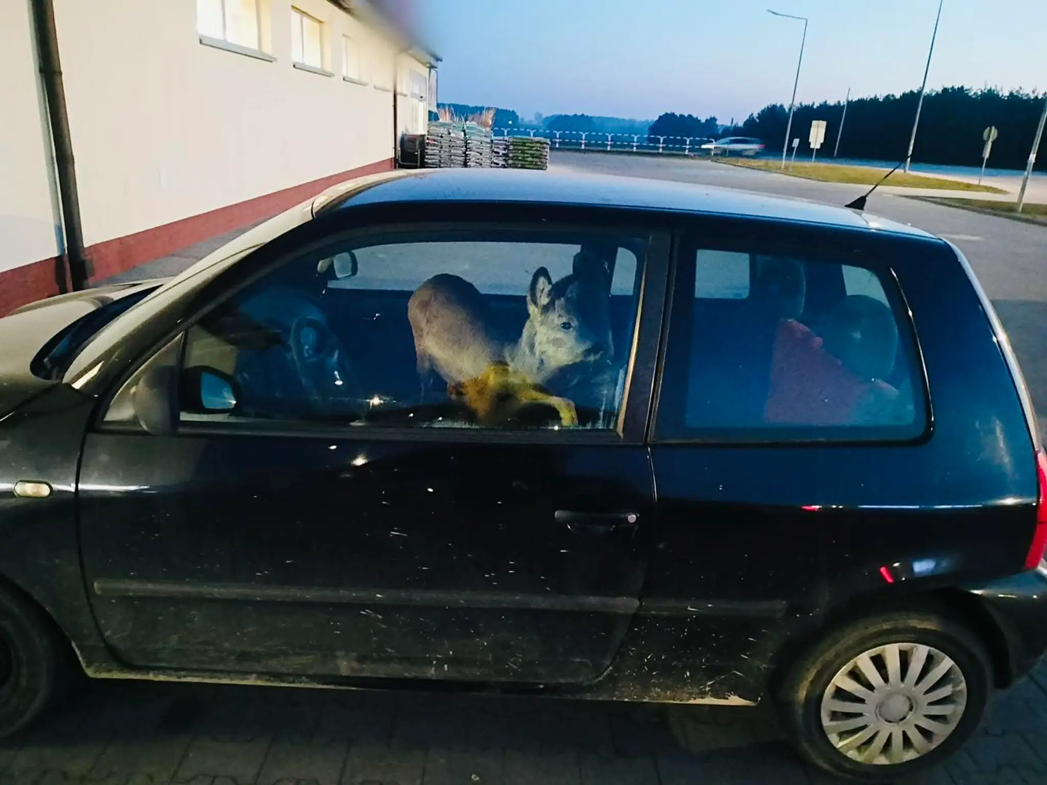 Fotografiu na sociálnej sieti zdieľal aj poľský sociológ Łukasz Litewka.