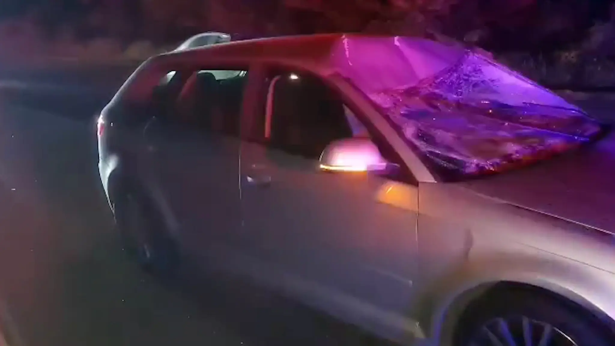 Na snímke poškodené čelné sklo na aute v Košiciach, ktoré zrazilo samicu losa.