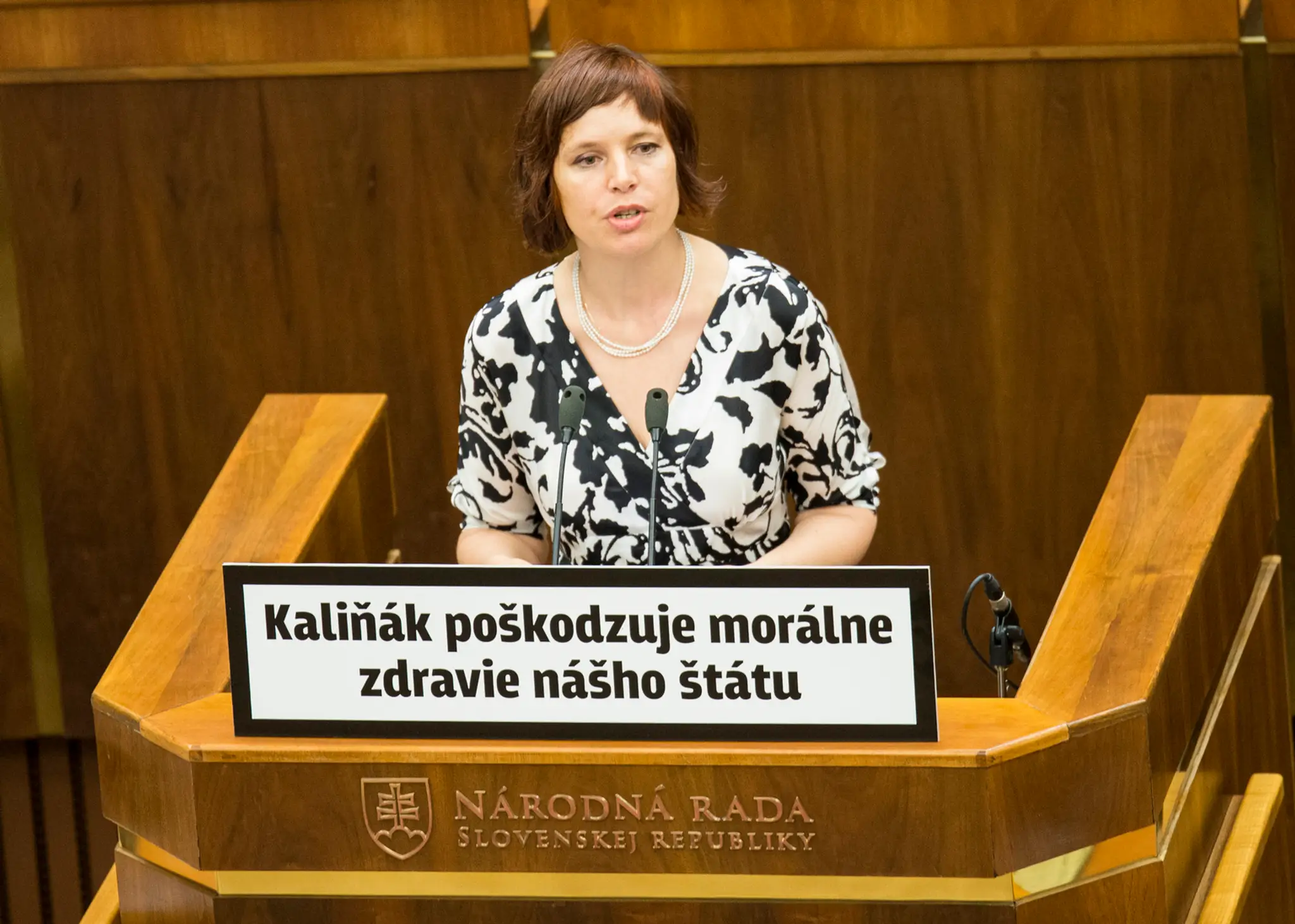 Mimoriadna schôdza Národnej rady SR, ktorú iniciovali opozičné strany SaS a OĽaNO-NOVA s cieľom vysloviť nedôveru ministrovi vnú