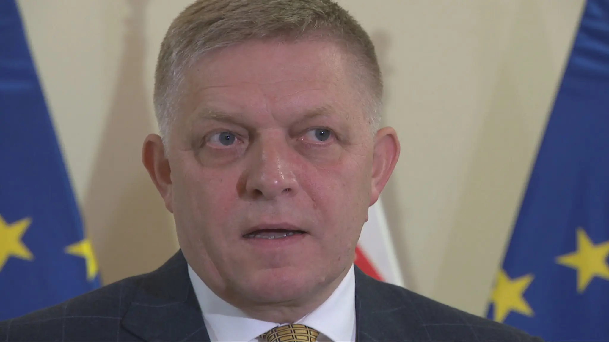 Vláda, Robert Fico