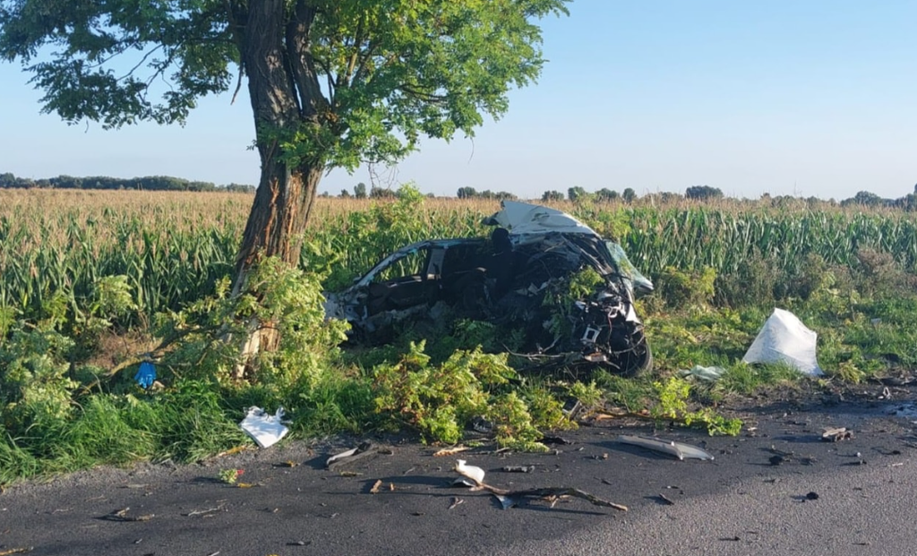 Na snímke zábery po tragickej nehode pri Dunajskej Strede, pri ktorej vyhasol život 19-ročného mladíka.