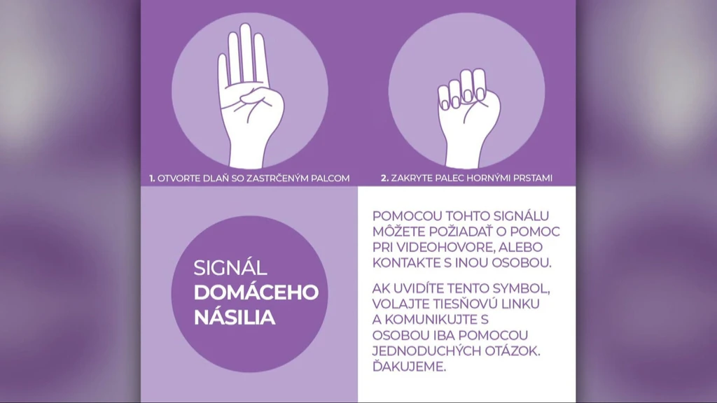 Medzinárodný znak obetí domáceho násilia