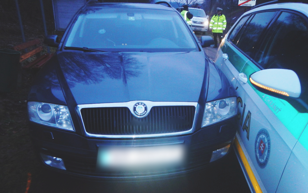 Vodič dostal exemplárny trest.