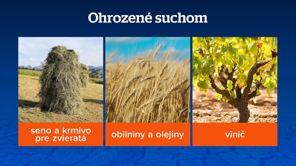 Ohrozené suchom