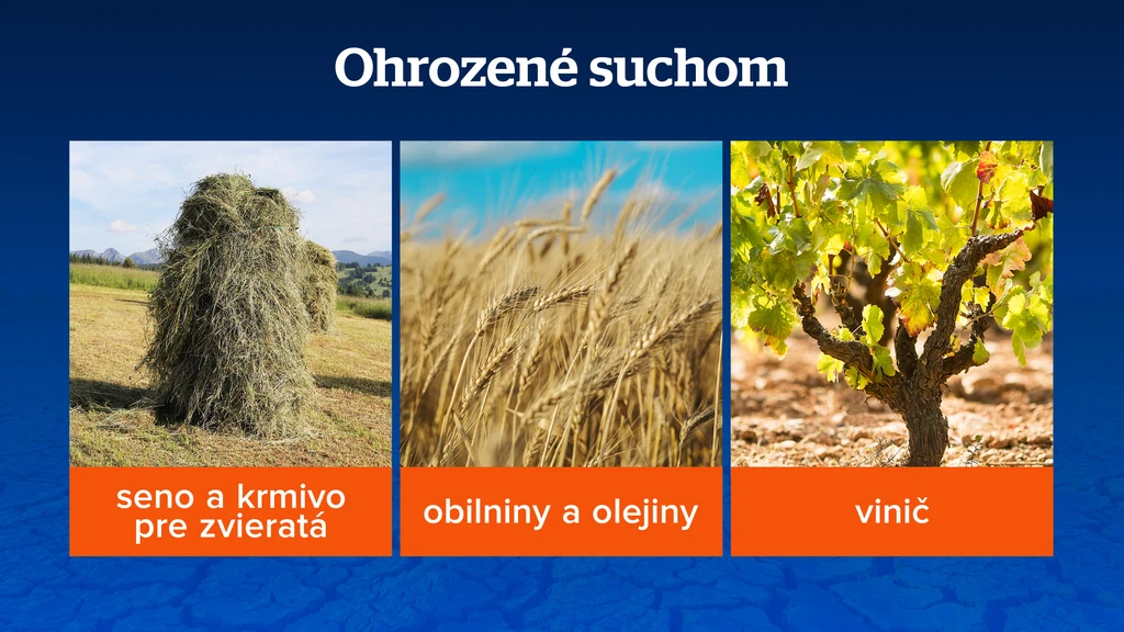 Ohrozené suchom