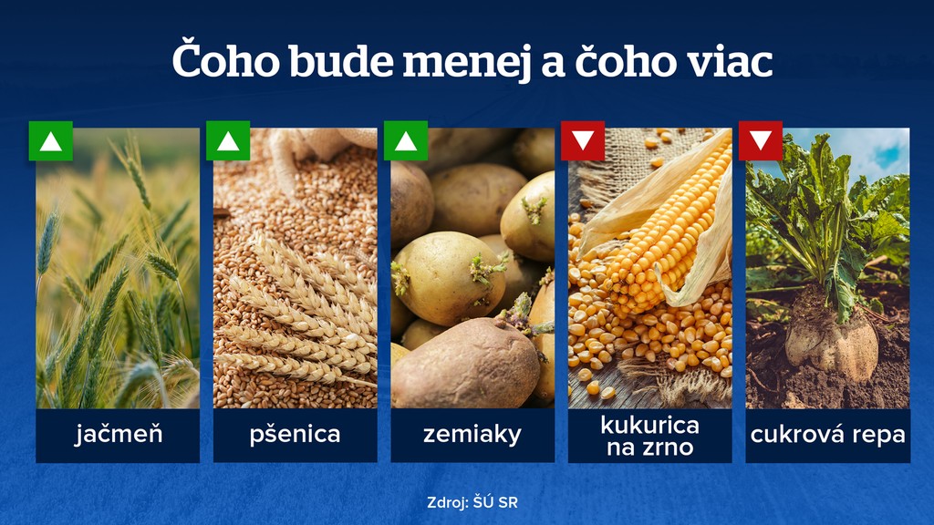 Čoho bude menej a čoho viac?
