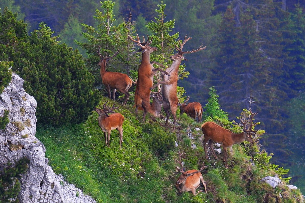 Do dokumentu sa podarilo natočiť vskutku výnimočné zábery