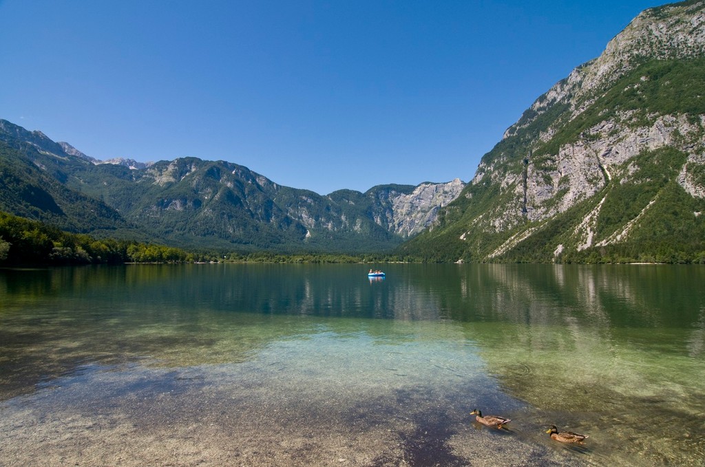 Jazero Bohinj v Slovinsku.