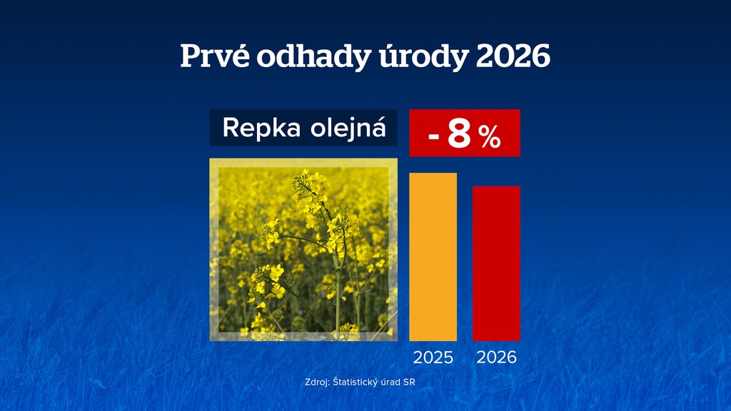 Repka olejná. 