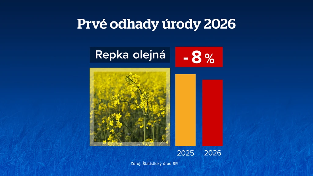 Repka olejná. 