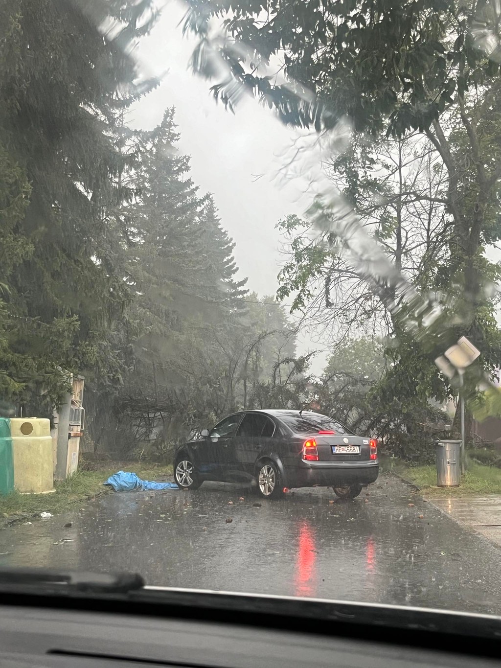 Spadnutý strom v Humennom.