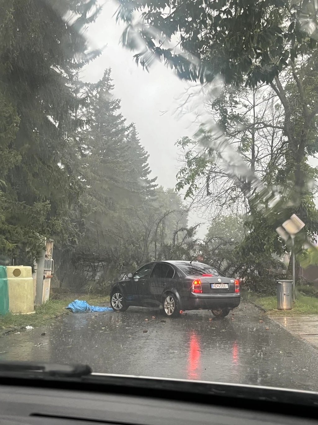 Spadnutý strom v Humennom.