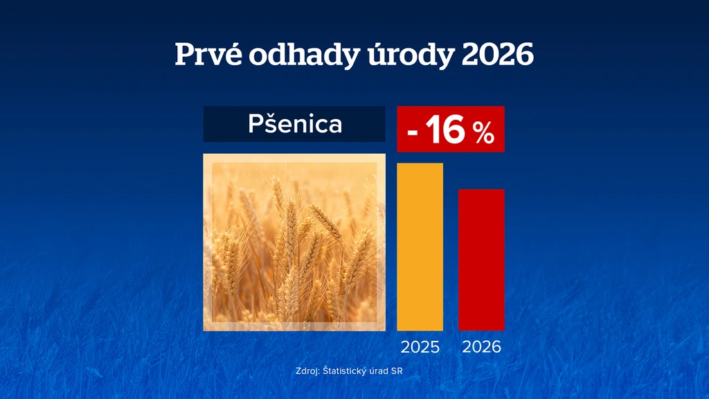 Pšenica. 
