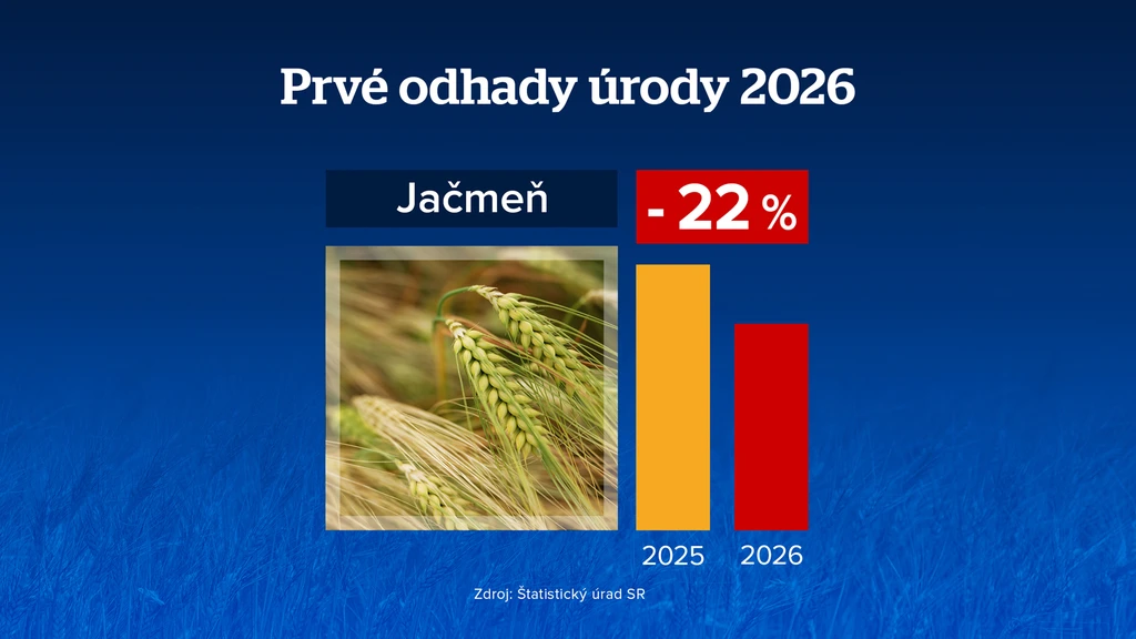 Jačmeň. 