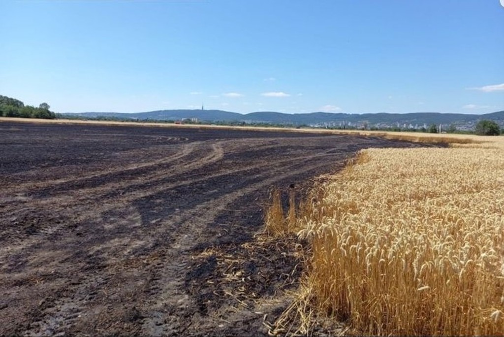 Požiar zničili 5 až 7 hektárov.