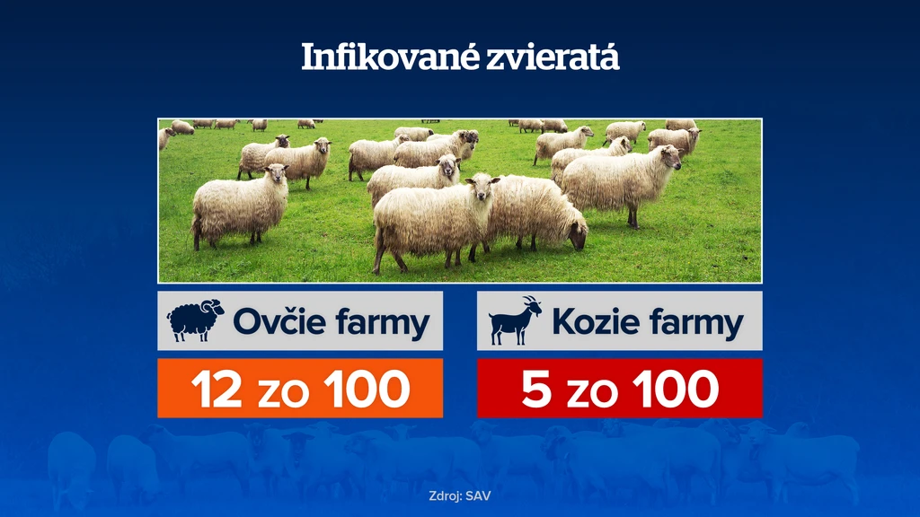 Infikované zvieratá