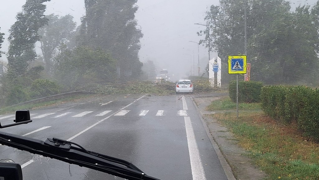 Strom spadol na most, Hlohovec. 