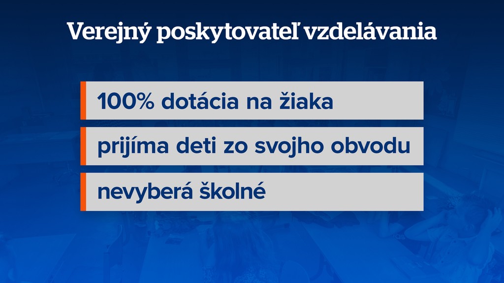 Verejný poskytovateľ vzdelávania