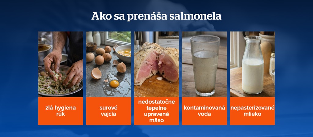 Ako sa prenáša salmonela