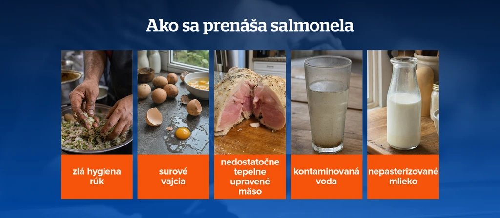 Ako sa prenáša salmonela