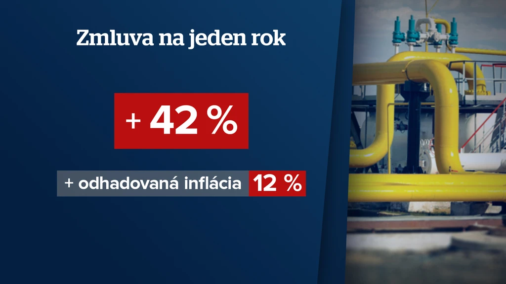 Na jeden rok