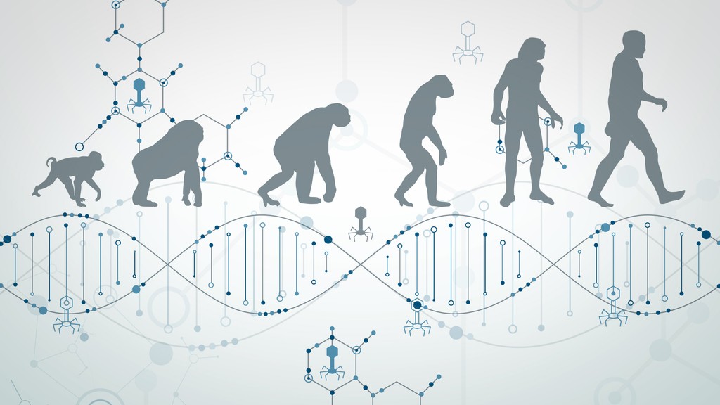 Vírus sa veľkou mierou podieľal na evolúcii