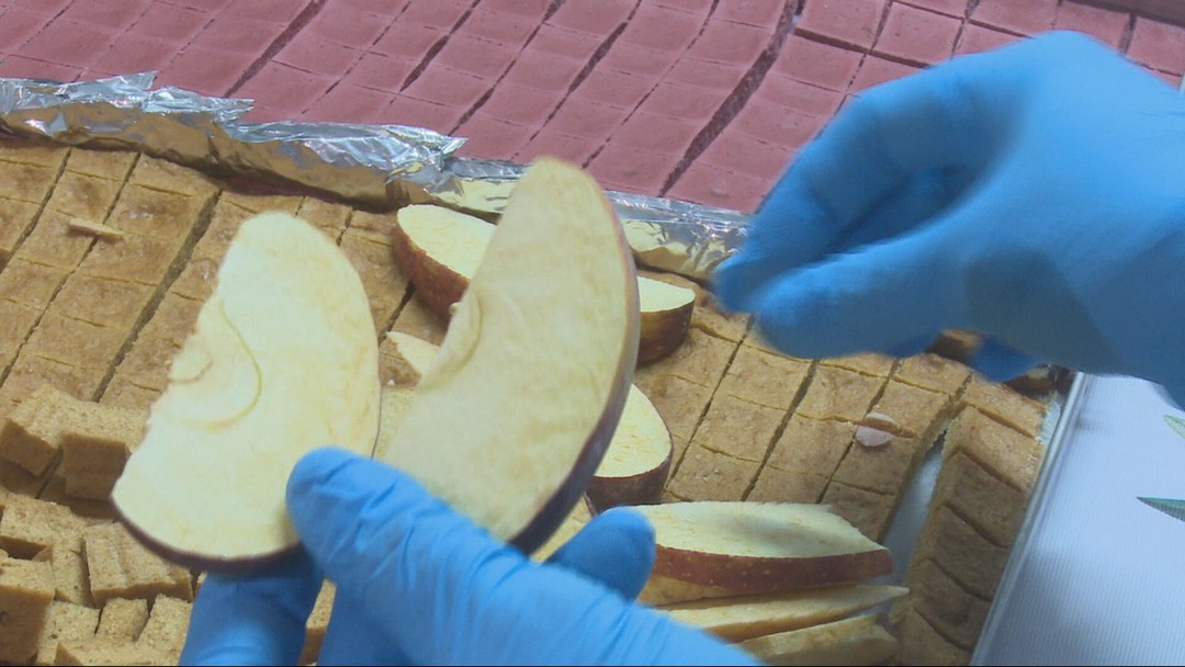 Rodiny si ovocie aj zeleninu sušia mrazom. Odhalili tajomstvo svojho spracovania