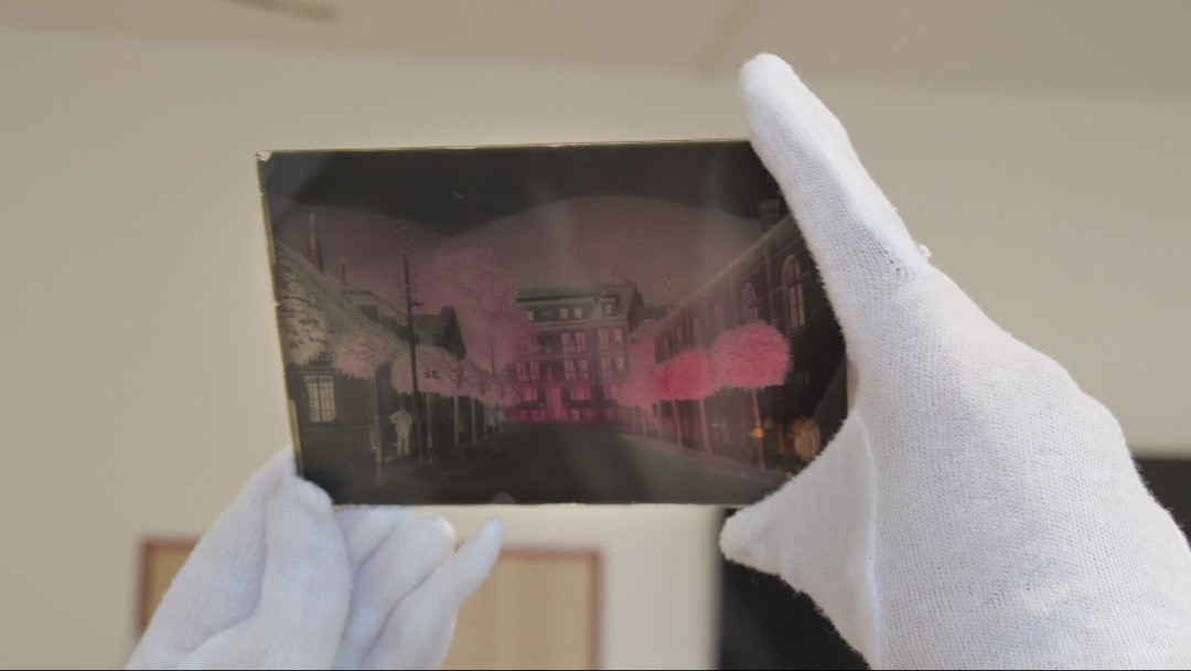 Vyhrnuli si rukávy a podarilo sa im nemožné. Reštaurátori zachránili vzácne sklenené fotografické negatívy
