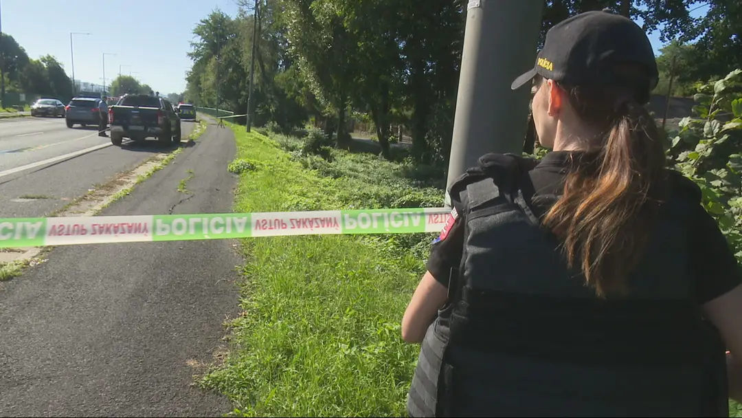 Streľba pri Veľkom Krtíši