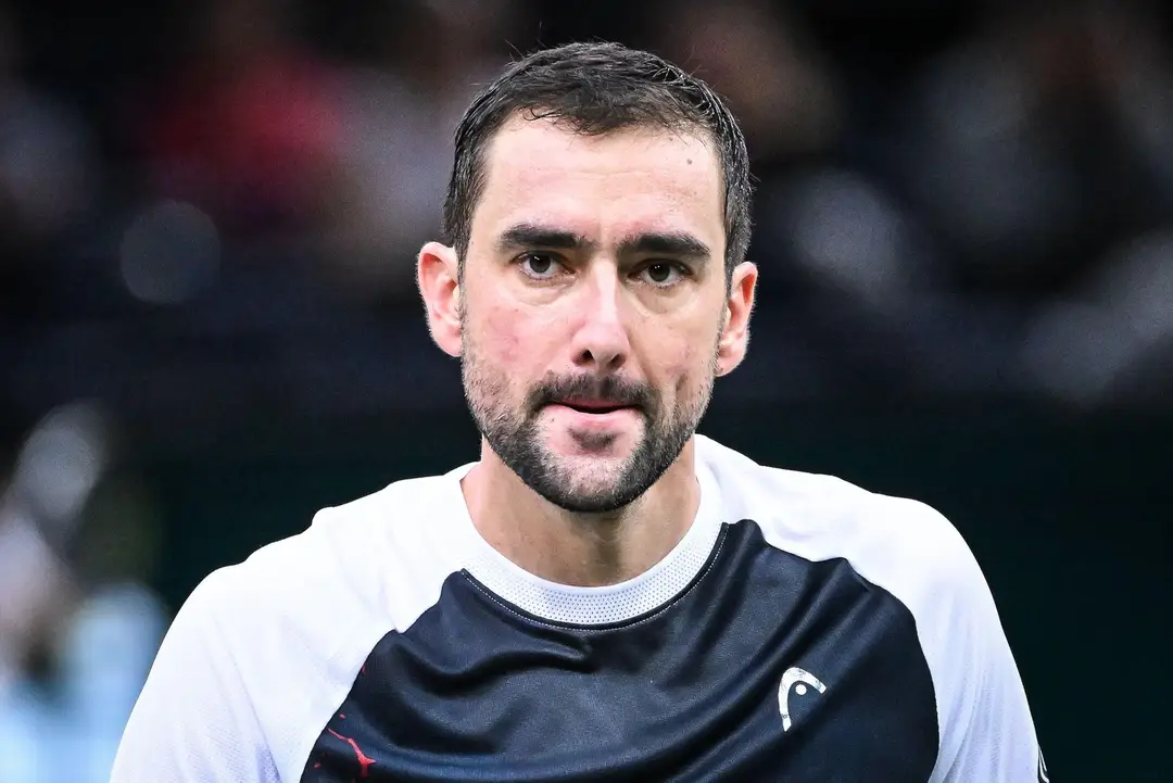 Marin Čilič