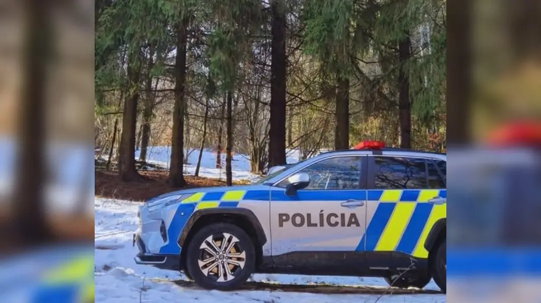 Polícia. Ilustračná snímka. 