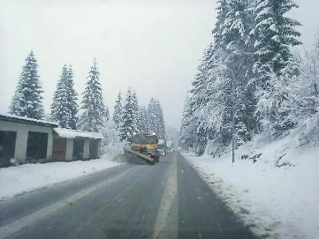 Oravská lesná.