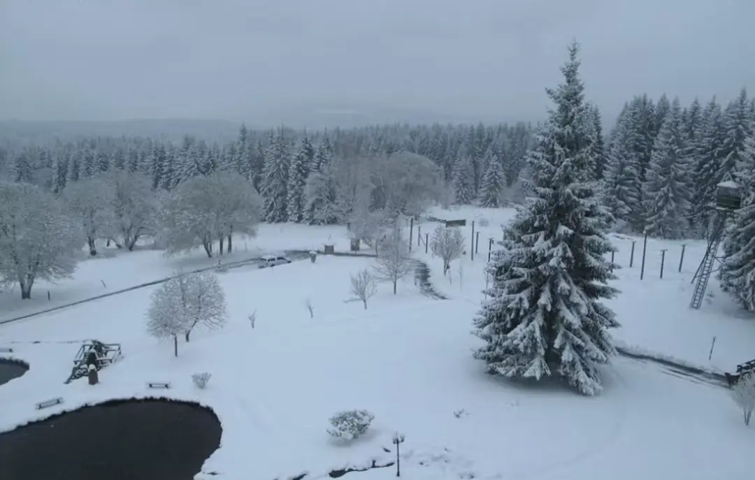 Na Šumavu sa vrátil sneh.
