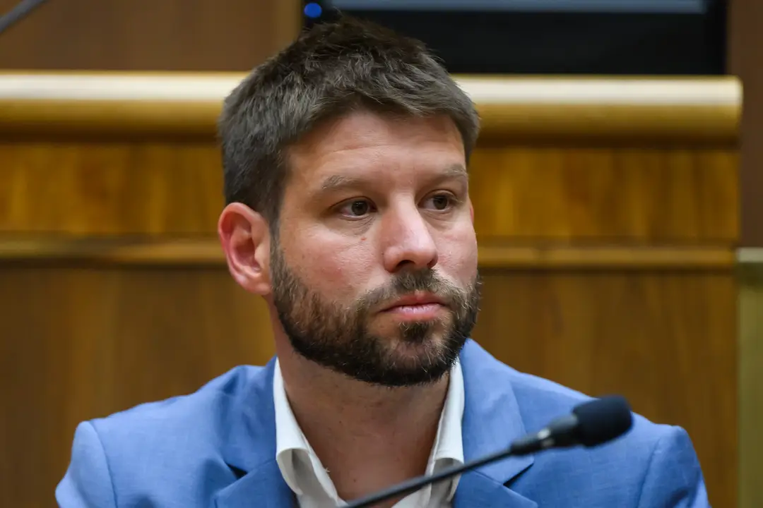 Na snímke podpredseda parlamentu a predseda PS Michal Šimečka.