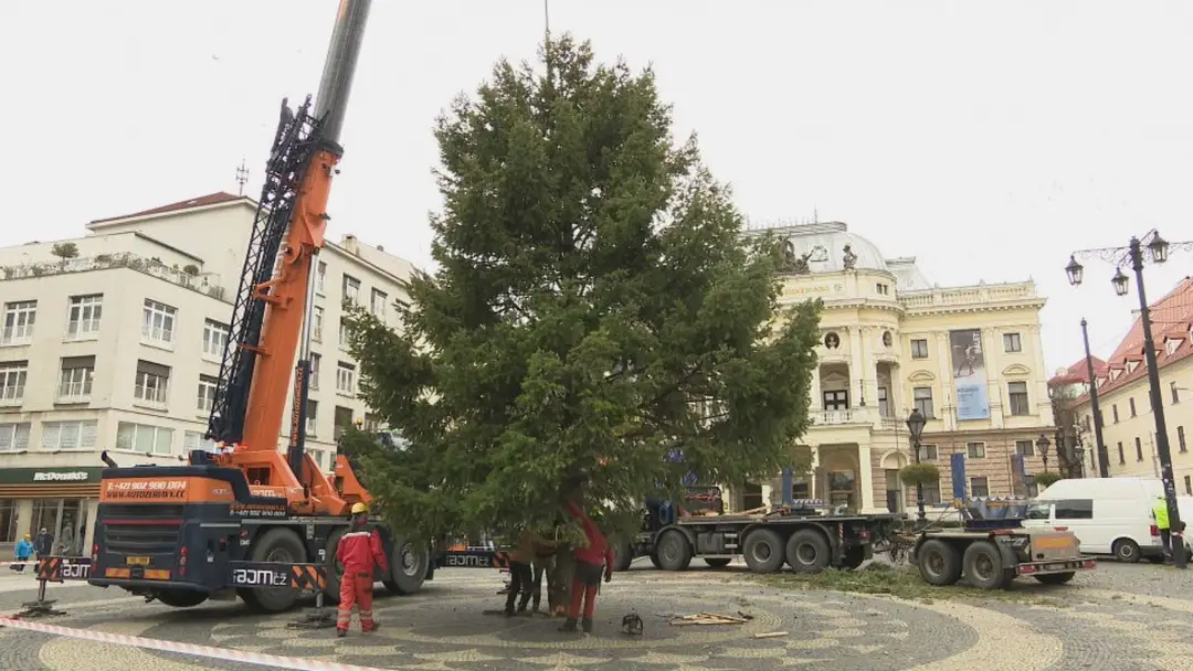 Bratislava už má svoj vianočný strom. 